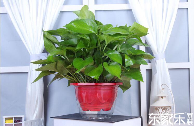 剛裝修完的房子里含有哪些有害物質(zhì)？哪些方法可以去除？